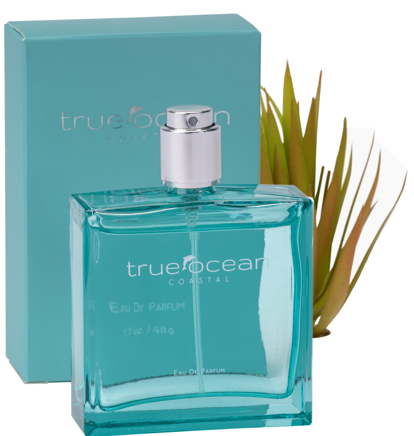 Coastal - a beach perfume