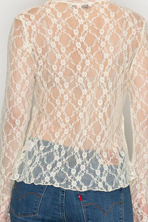 Sparkly Sheer Lace Long Sleeve Top - Beige