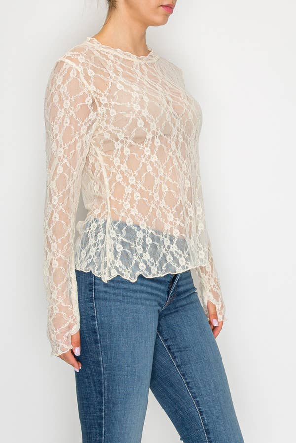 Sparkly Sheer Lace Long Sleeve Top - Beige